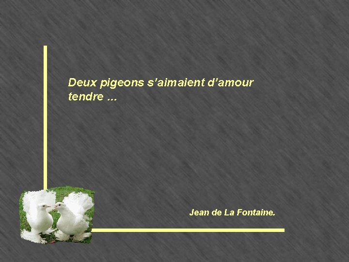 Deux pigeons s’aimaient d’amour tendre … Jean de La Fontaine. 