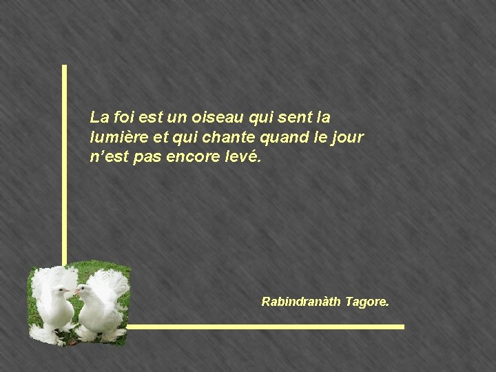 La foi est un oiseau qui sent la lumière et qui chante quand le