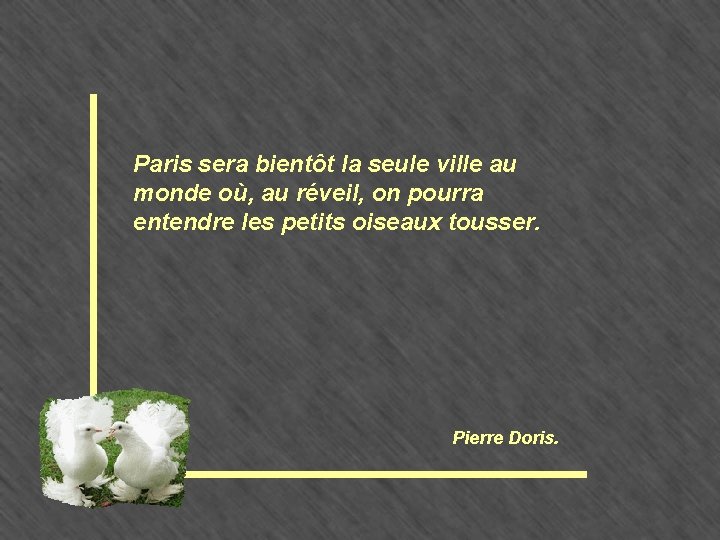 Paris sera bientôt la seule ville au monde où, au réveil, on pourra entendre