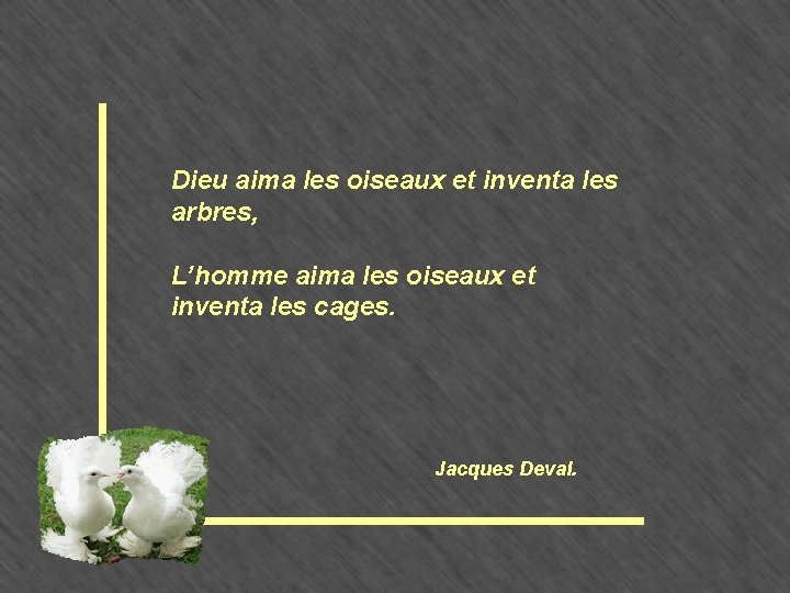 Dieu aima les oiseaux et inventa les arbres, L’homme aima les oiseaux et inventa