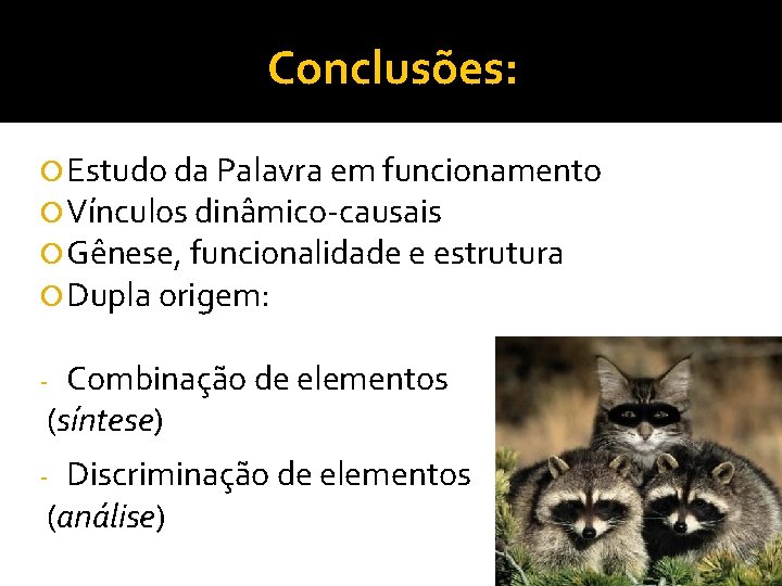 Conclusões: Estudo da Palavra em funcionamento Vínculos dinâmico-causais Gênese, funcionalidade e estrutura Dupla origem:
