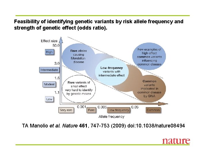 Feasibility of identifying genetic variants by risk allele frequency and strength of genetic effect