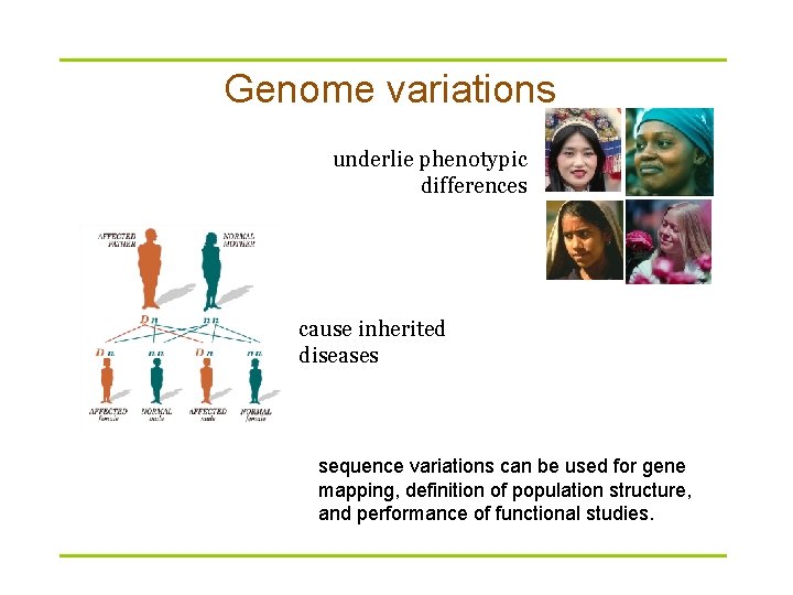 Genome variations underlie phenotypic differences cause inherited diseases sequence variations can be used for