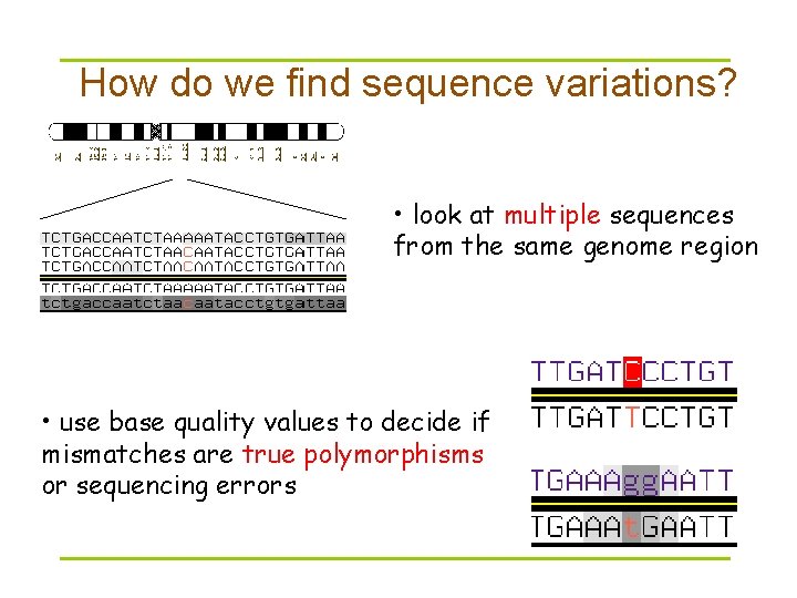 How do we find sequence variations? • look at multiple sequences from the same