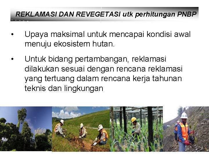 REKLAMASI DAN REVEGETASI utk perhitungan PNBP • Upaya maksimal untuk mencapai kondisi awal menuju