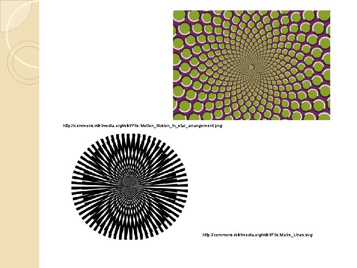 http: //commons. wikimedia. org/wiki/File: Motion_illusion_in_star_arrangement. png http: //commons. wikimedia. org/wiki/File: Moire_Lines. svg 