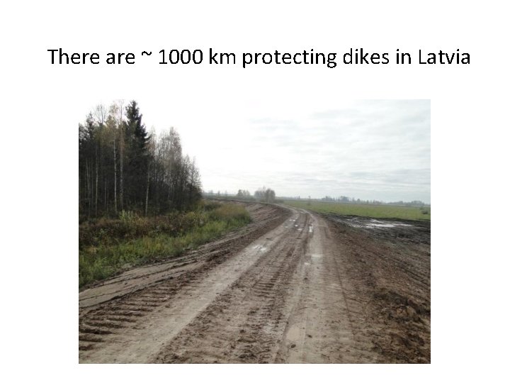 There are ~ 1000 km protecting dikes in Latvia 