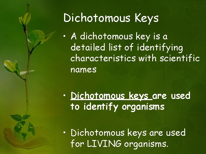 Dichotomous Keys • A dichotomous key is a detailed list of identifying characteristics with
