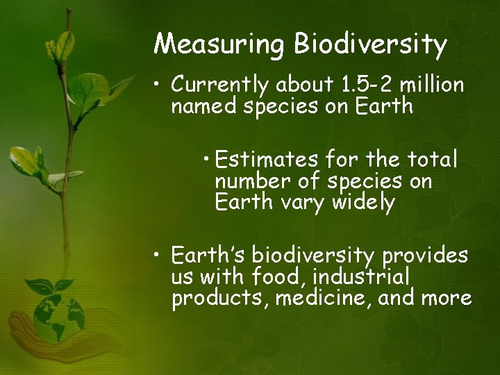 Measuring Biodiversity • Currently about 1. 5 -2 million named species on Earth •