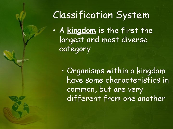 Classification System • A kingdom is the first the largest and most diverse category