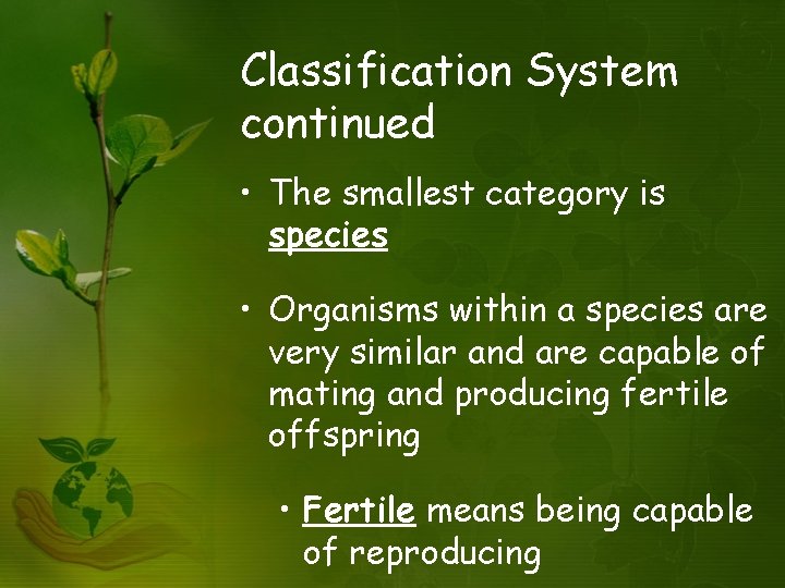 Classification System continued • The smallest category is species • Organisms within a species