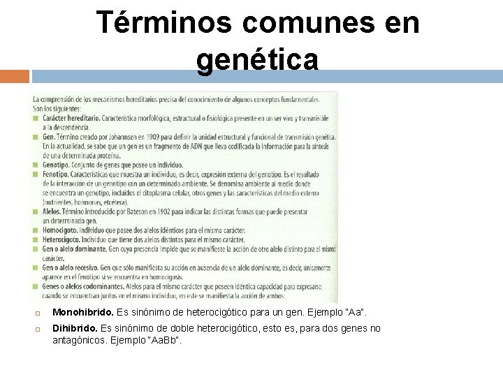 Términos comunes en genética Monohibrido. Es sinónimo de heterocigótico para un gen. Ejemplo “Aa”.