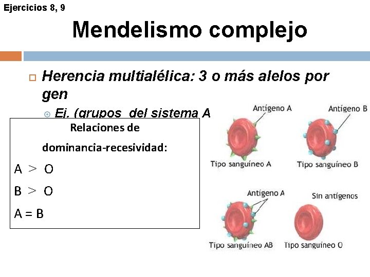 Ejercicios 8, 9 Mendelismo complejo Herencia multialélica: 3 o más alelos por gen Ej.