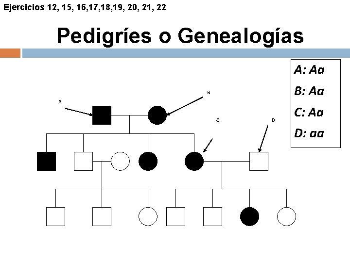 Ejercicios 12, 15, 16, 17, 18, 19, 20, 21, 22 Pedigríes o Genealogías A: