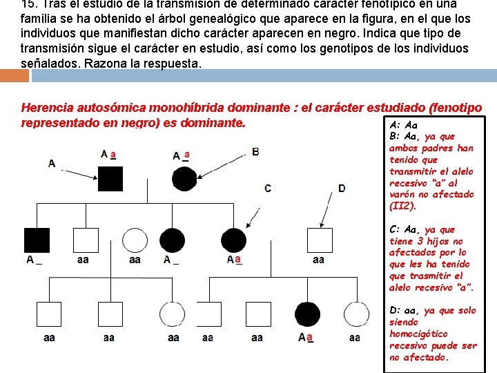 15. Tras el estudio de la transmisión de determinado carácter fenotípico en una familia