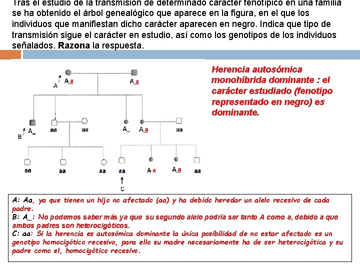 Tras el estudio de la transmisión de determinado carácter fenotípico en una familia se