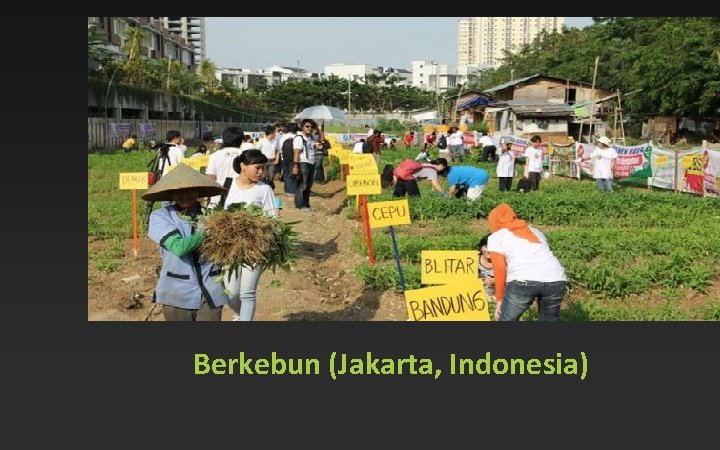 Berkebun (Jakarta, Indonesia) 