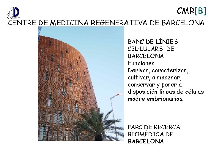 CMR[B] CENTRE DE MEDICINA REGENERATIVA DE BARCELONA BANC DE LÍNIES CEL·LULARS DE BARCELONA Funciones