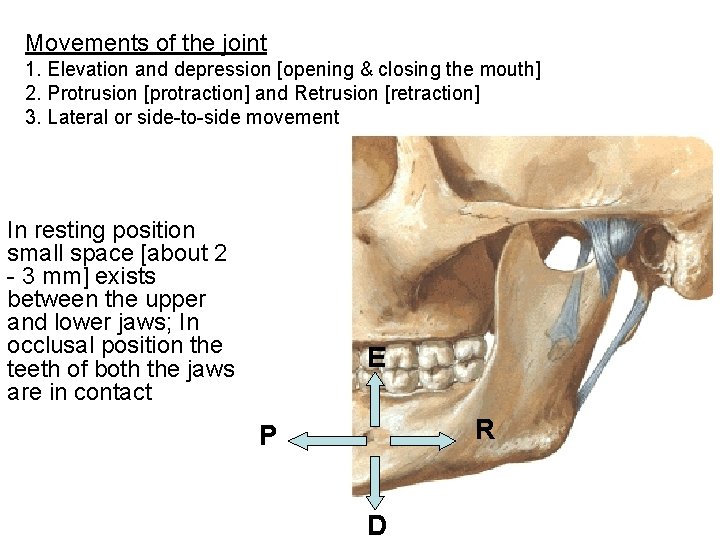 Movements of the joint 1. Elevation and depression [opening & closing the mouth] 2.