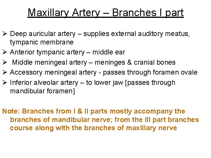 Maxillary Artery – Branches I part Ø Deep auricular artery – supplies external auditory