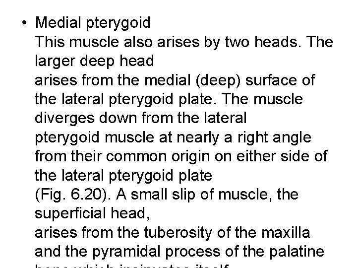  • Medial pterygoid This muscle also arises by two heads. The larger deep