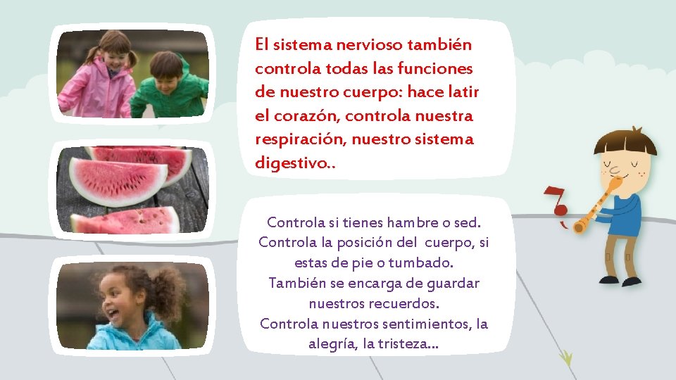 El sistema nervioso también controla todas las funciones de nuestro cuerpo: hace latir el