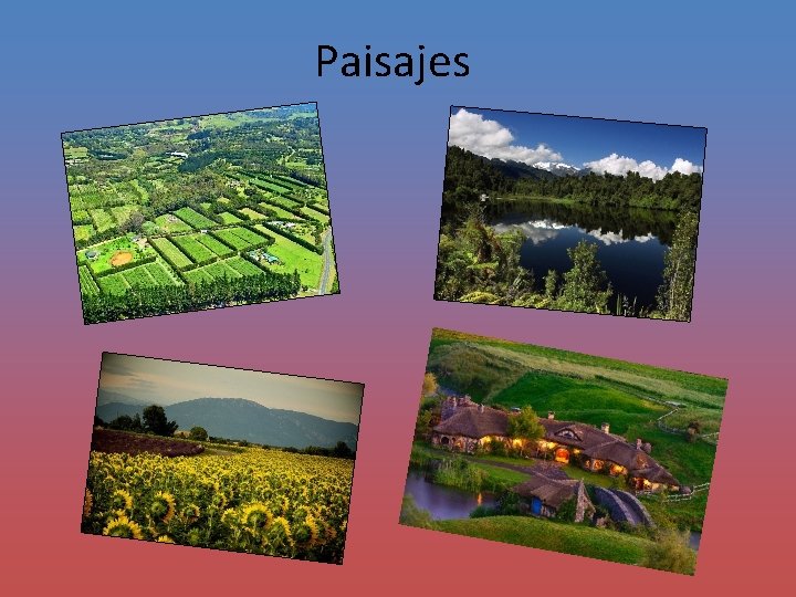 Paisajes 