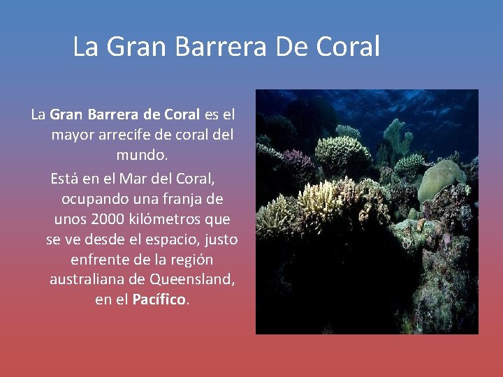 La Gran Barrera De Coral La Gran Barrera de Coral es el mayor arrecife