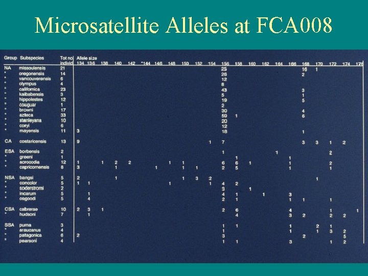 Microsatellite Alleles at FCA 008 