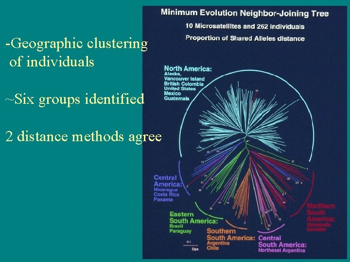 -Geographic clustering of individuals ~Six groups identified 2 distance methods agree 