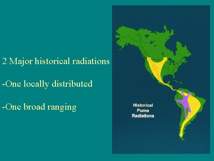2 Major historical radiations -One locally distributed -One broad ranging 
