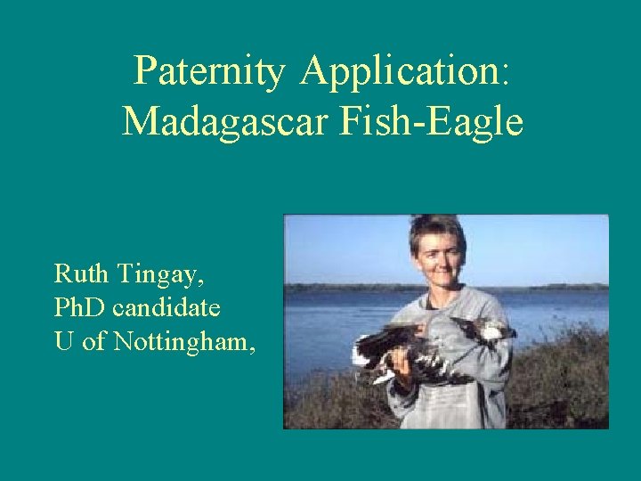 Paternity Application: Madagascar Fish-Eagle Ruth Tingay, Ph. D candidate U of Nottingham, 