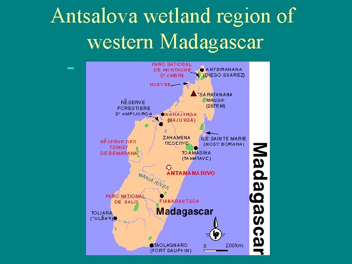 Antsalova wetland region of western Madagascar 