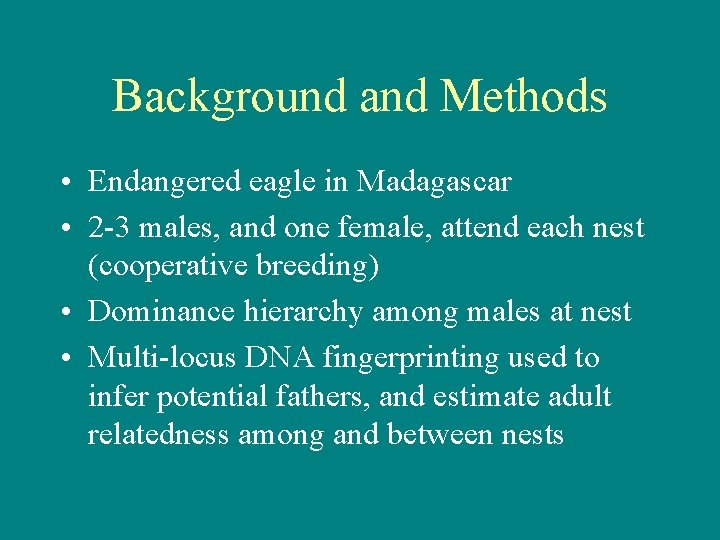 Background and Methods • Endangered eagle in Madagascar • 2 -3 males, and one
