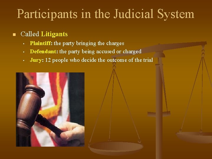 Participants in the Judicial System n Called Litigants • • • Plaintiff: the party