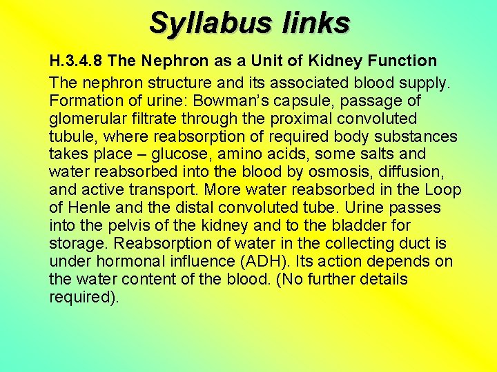 Syllabus links H. 3. 4. 8 The Nephron as a Unit of Kidney Function