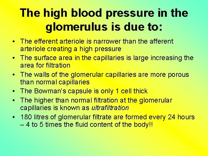 The high blood pressure in the glomerulus is due to: • The efferent arteriole