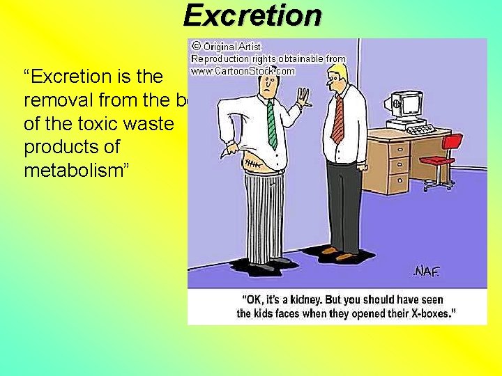 Excretion “Excretion is the removal from the body of the toxic waste products of