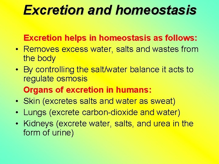 Excretion and homeostasis • • • Excretion helps in homeostasis as follows: Removes excess