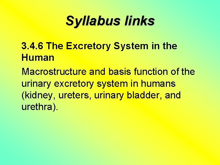 Syllabus links 3. 4. 6 The Excretory System in the Human Macrostructure and basis