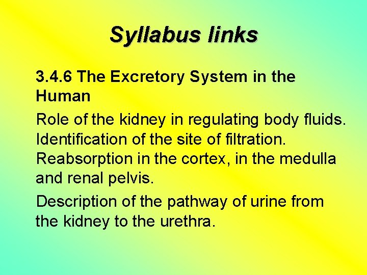 Syllabus links 3. 4. 6 The Excretory System in the Human Role of the