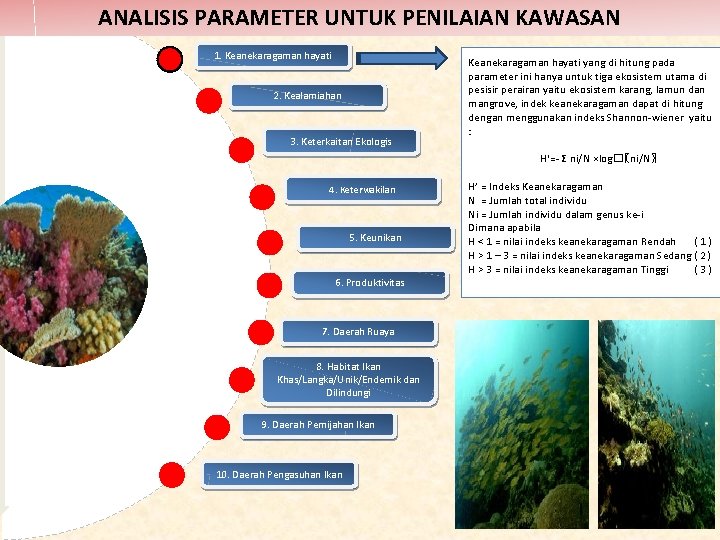 ANALISIS PARAMETER UNTUK PENILAIAN KAWASAN 1. Keanekaragaman hayati 2. Kealamiahan 3. Keterkaitan Ekologis Keanekaragaman