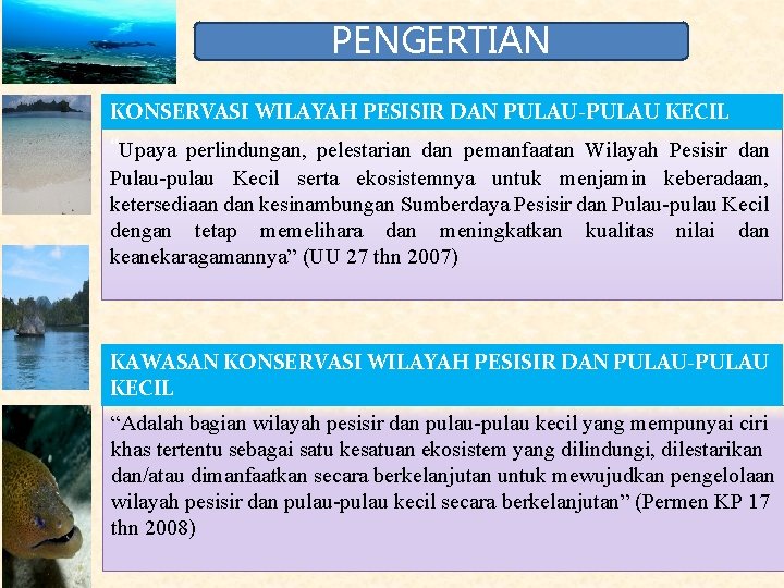 PENGERTIAN KONSERVASI WILAYAH PESISIR DAN PULAU-PULAU KECIL “Upaya perlindungan, pelestarian dan pemanfaatan Wilayah Pesisir