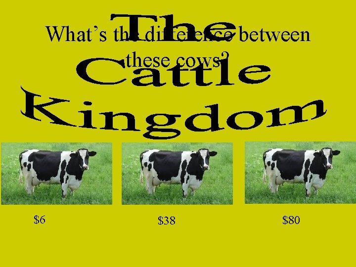 What’s the difference between these cows? $6 $38 $80 
