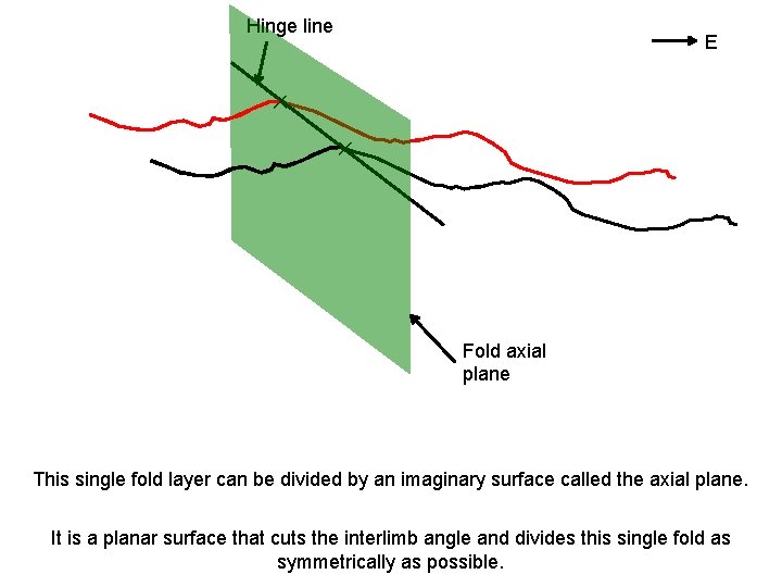 Hinge line E ✕ ✕ Fold axial plane This single fold layer can be