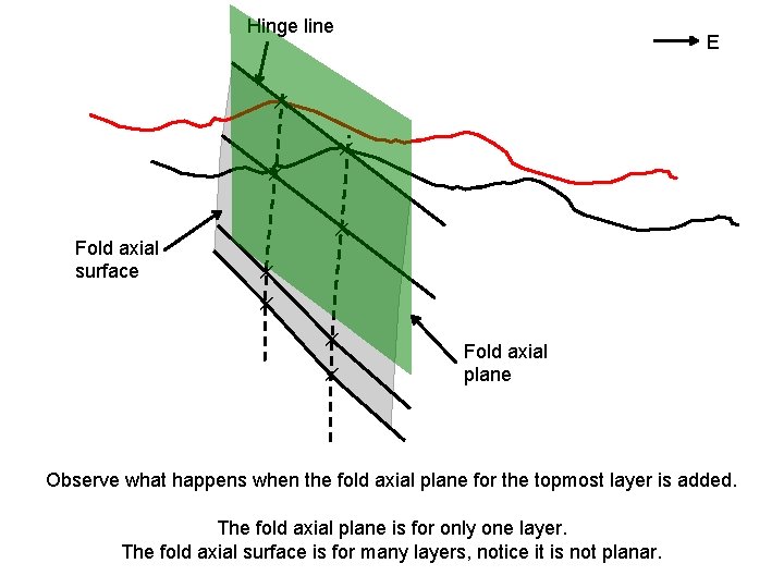 Hinge line E ✕ ✕ ✕ Fold axial surface ✕ ✕ ✕ Fold axial