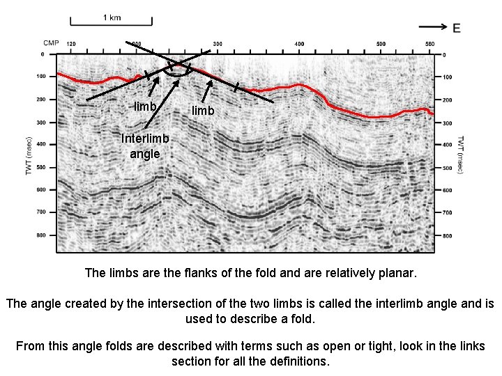 limb Interlimb angle The limbs are the flanks of the fold and are relatively