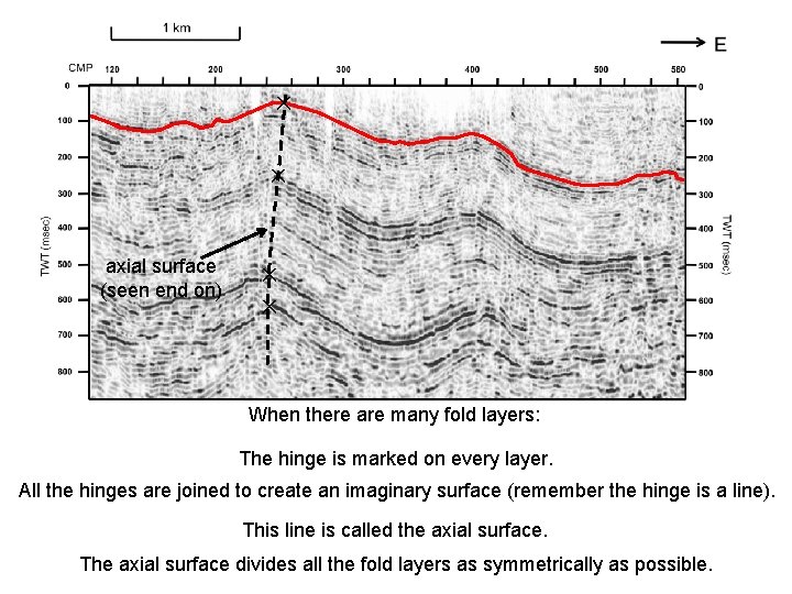 ✕ ✕ axial surface (seen end on) ✕ ✕ When there are many fold