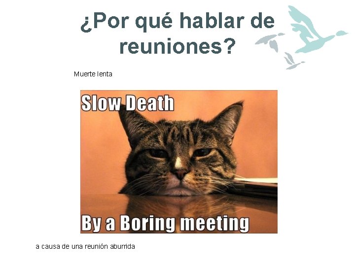¿Por qué hablar de reuniones? Muerte lenta a causa de una reunión aburrida 