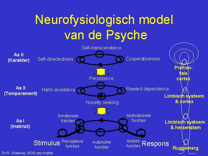 Neurofysiologisch model van de Psyche Self-transcendence As II (Karakter) Cooperativeness Self-directedness Prefrontale cortex Persistence